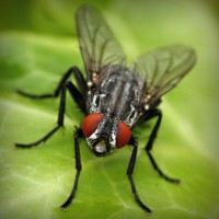 /album/najlepsie-hry-pre-dievcata/photolia-a01-jpg/