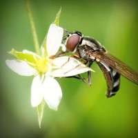 /album/najlepsie-hry-pre-dievcata/photolia-a02-jpg/