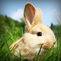 /album/najlepsie-hry-pre-dievcata/photolia-a03-jpg/