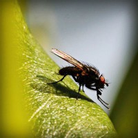 /album/najlepsie-hry-pre-dievcata/photolia-a04-jpg/