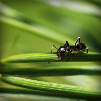 /album/najlepsie-hry-pre-dievcata/photolia-a05-jpg/