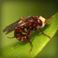 /album/najlepsie-hry-pre-dievcata/photolia-a06-jpg/