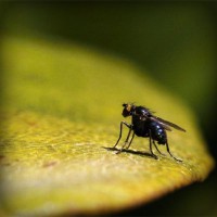 /album/najlepsie-hry-pre-dievcata/photolia-a07-jpg/