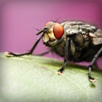 /album/najlepsie-hry-pre-dievcata/photolia-a08-jpg/